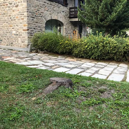 Il Pino Cembro