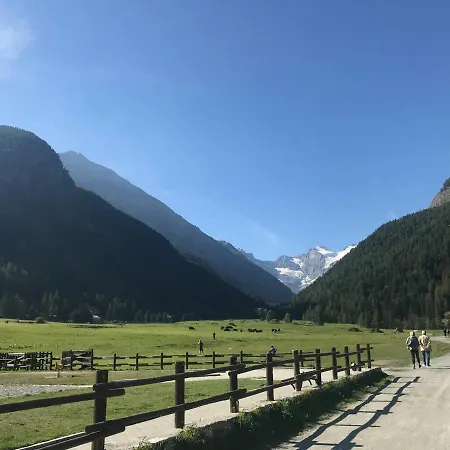 Appartamento Il Pino Cembro *